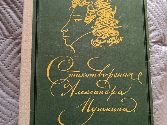 Стихотворения А.С. Пушкина