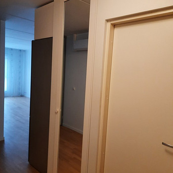 Peegeli uks 605x2410mm (WxH)