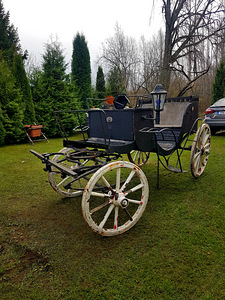 Tõld (2 foto / 5)