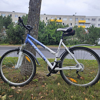 Jalgrattas LADY CLASSIC