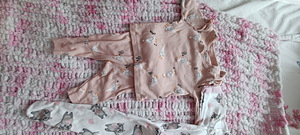 Beebiriided s 56 kuni 68 (2 foto / 10)