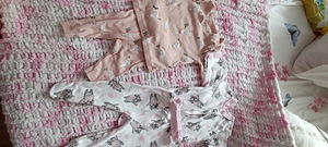 Beebiriided s 56 kuni 68 (5 foto / 10)