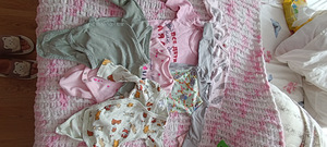 Beebiriided s 56 kuni 68 (6 foto / 10)