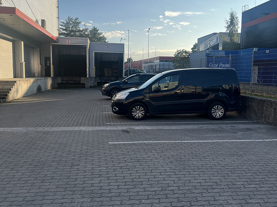 Tartus Otsitakse B kategooria autojuht