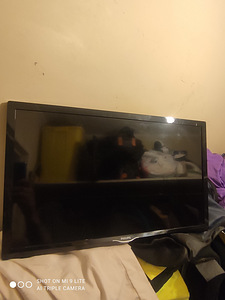 Телевизор Philips 24 (5 фото из 10)