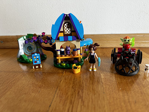 LEGO® Elves The Capture of Sophie Jones komplekt 41182 (4 foto / 8)