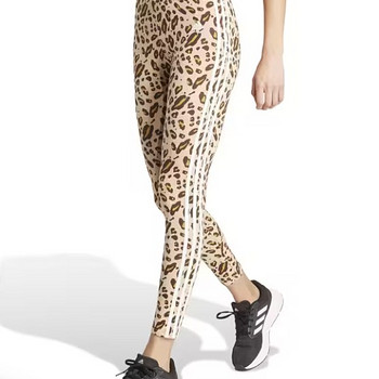 Adidase retuusid
