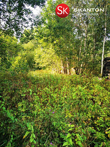 Aia, Nina, Peipsiääre vald, Tartumaa (6 foto / 7)