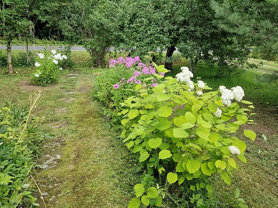 Pargiääre, Hõreda, Rapla vald, Raplamaa