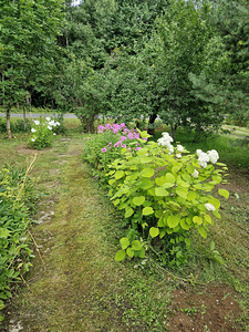 Pargiääre, Hõreda, Rapla vald, Raplamaa (1 фото из 15)