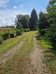 Pargiääre, Hõreda, Rapla vald, Raplamaa (12 фото из 15)