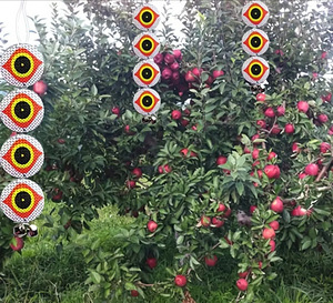Lindude peletaja Linnutõrjevahend (3 foto / 4)