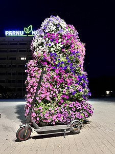Xiaomi MI PRO2 scooter (4 foto / 4)