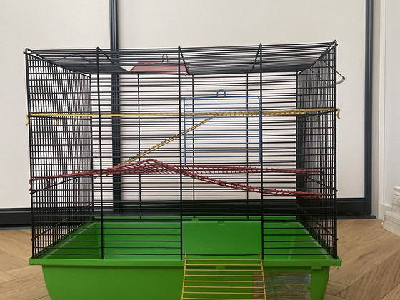Puur