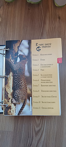 Энциклопедии (3 фото из 6)