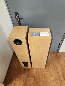 B&W DM 309 HiFi FLOORSTANDING SPEAKERS (4 foto / 4)