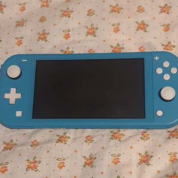 Nintendo Switch Lite + ümbris