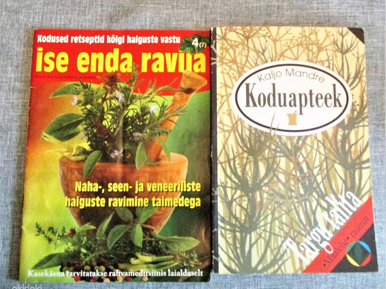 KODUAPTEEK и ISE ENDA RAVIJA