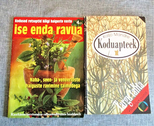 KODUAPTEEK ja ISE ENDA RAVIJA (1 foto / 4)