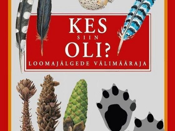 Кто здесь был?