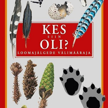 Кто здесь был?