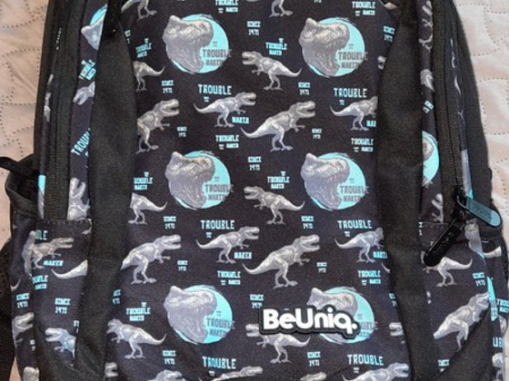 Новый Школьный рюкзак Paso Dino