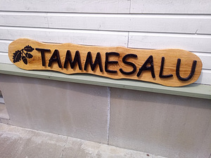 TALUSILDID (7 foto / 10)