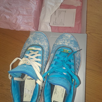 LEBRON XX ASW