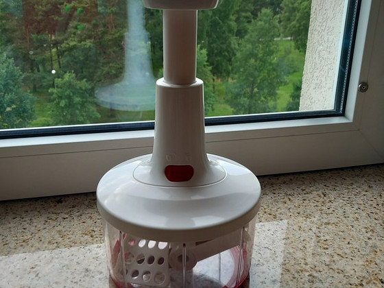 Köögiviljalõikur
