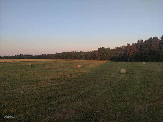 Сено