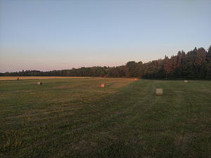 Сено (1 фото из 1)