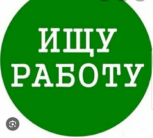 Ищу работу (1 фото из 1)