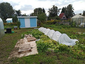 Tõusu tn 66, Kudruküla, Narva, Ida-Virumaa (5 foto / 9)