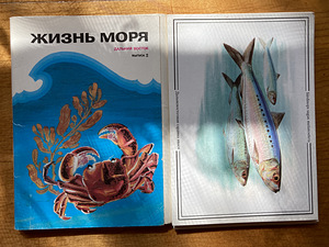 Müüa vanu postkaarte ja postkaartide komplekte (5 foto / 10)