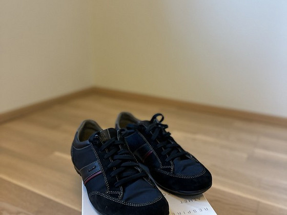 Geox 42