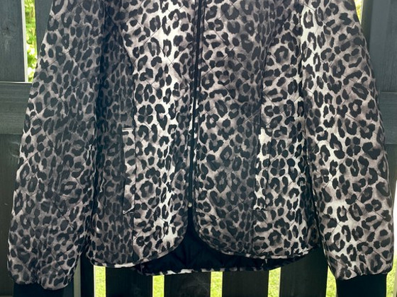 Tepitud bomber-jakk ONLY