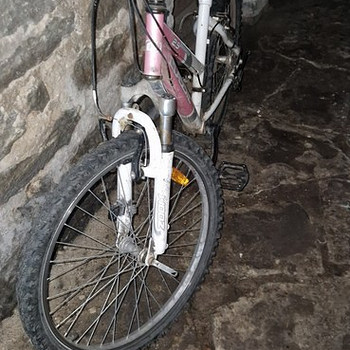Jalgratas 10+a