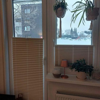 Voldikkardin