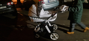 Hartan Racer GT (2 фото из 10)