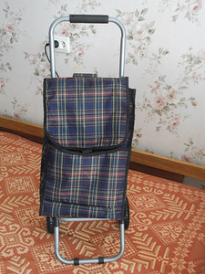 Ratastega käru (1 foto / 2)