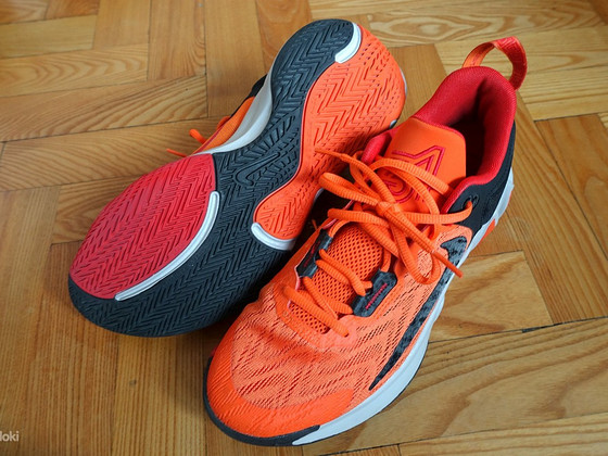 Nike korvpallijalatsid 41