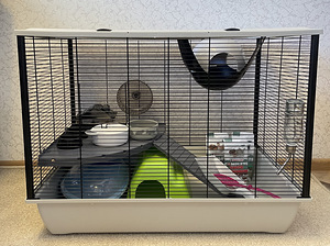 Näriliste puur (1 foto / 2)
