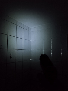 UUS! Elektriline kruvikeeraja (5 foto / 5)