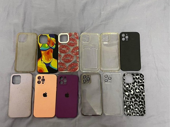 Case 12/11 pro