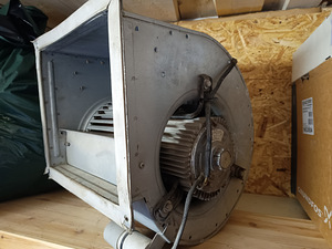 Fann (1 foto / 1)