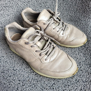 ECCO 38