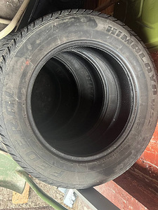 FEDERAL HIMALAYA WS2 103T XL 225/60R17 (3 фото из 4)