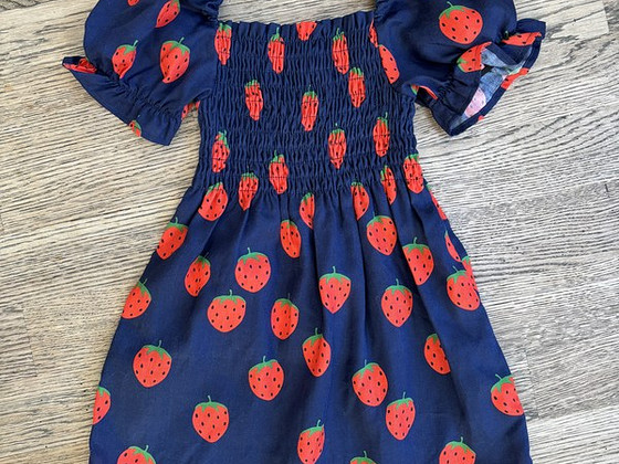 Mini rodini