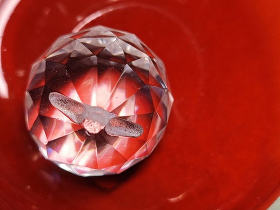 Кристалы Сваровски/Swarovski krystalid