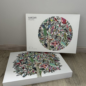 Wacom Intous Pro